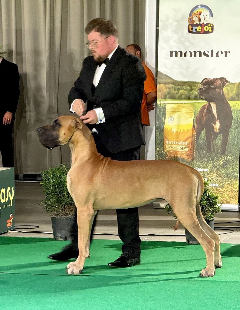 De La Guilde Des Néphilims - Nouveau jeune Champion de Malte TEODDREAD