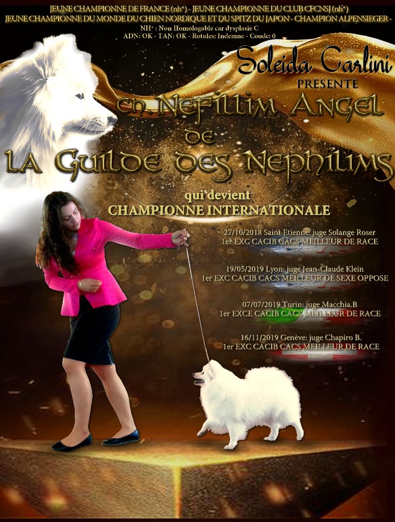De La Guilde Des Néphilims - nouvelle championne internationale a la Guilde <3