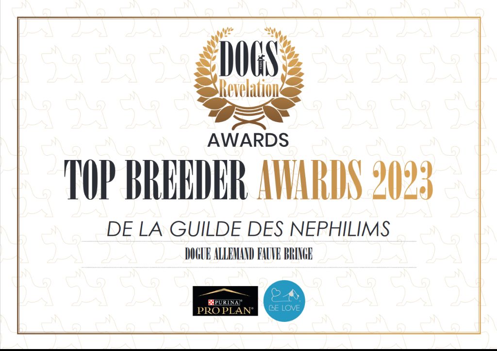 De La Guilde Des Néphilims - la Guilde des Néphilims TOP BREEDER 2023