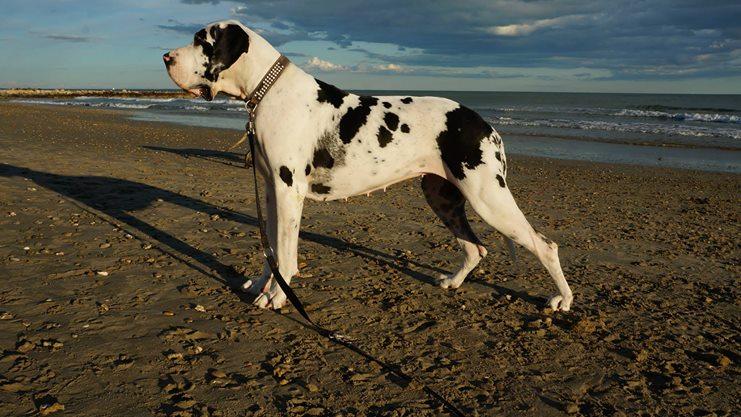 Funny girl de la vallée des eolienne