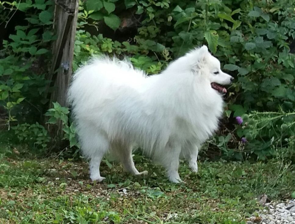 Ohayo De La Guilde Des Néphilims