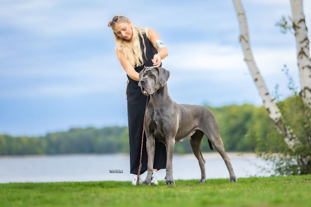 De La Guilde Des Néphilims - FAFARAFA Modry Efekt est CHAMPIONNE DE FRANCE